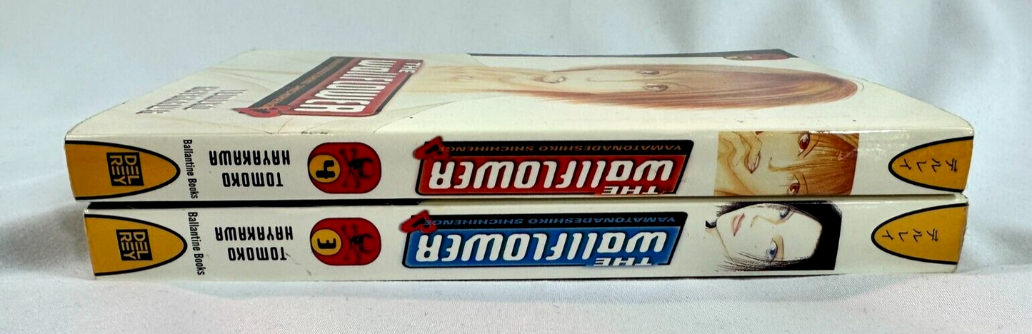 Japanese Anime Graphic and Light Novel Paperback Book LOT (Set of 2)