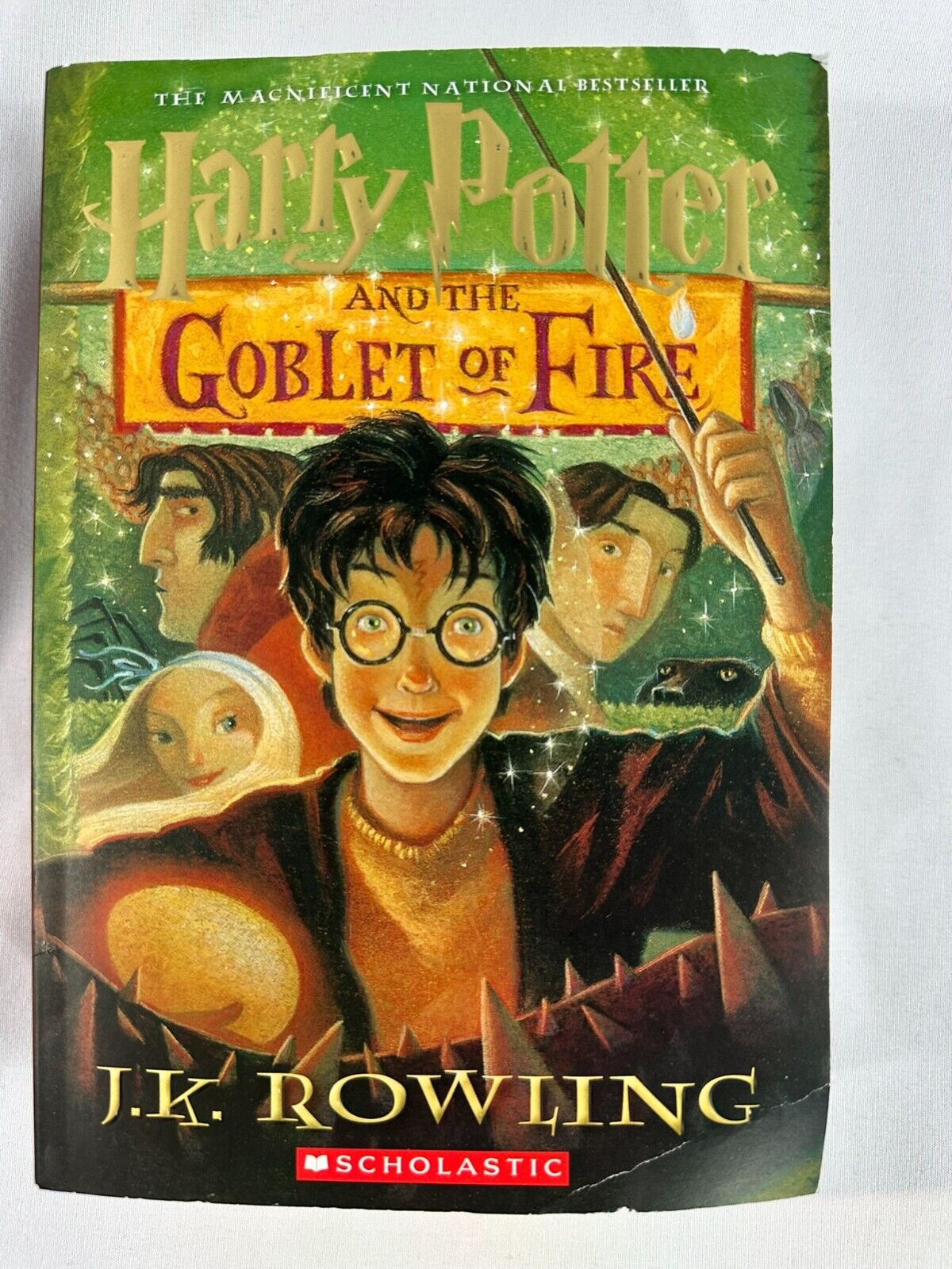 Harry Potter Paperback Book Lot (4 Edition LOT)