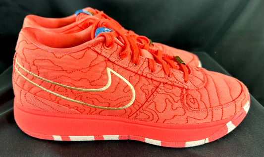 Men's Nike Devin Booker Book 1 Sedona Shoes- Size 10