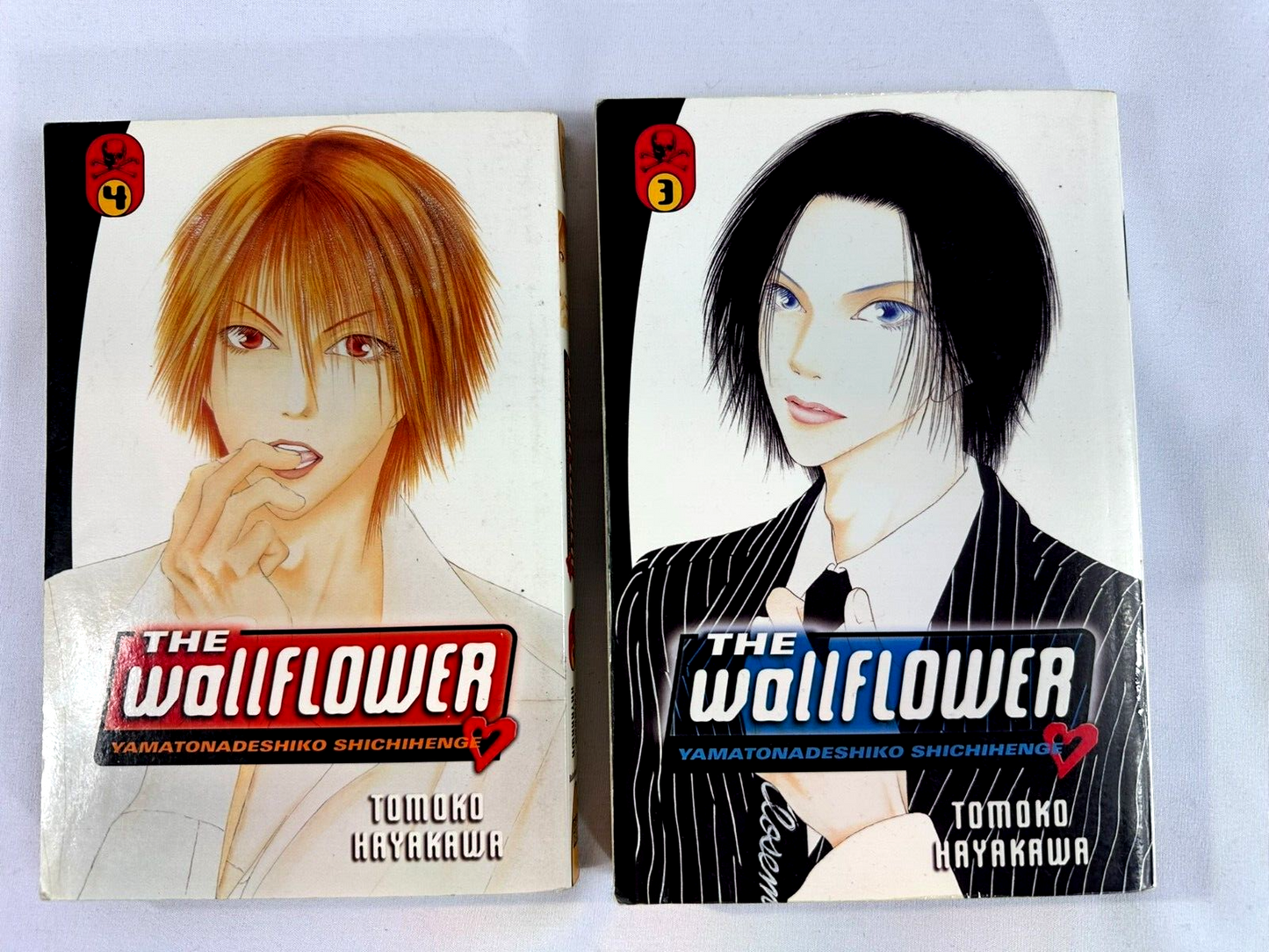 Japanese Anime Graphic and Light Novel Paperback Book LOT (Set of 2)