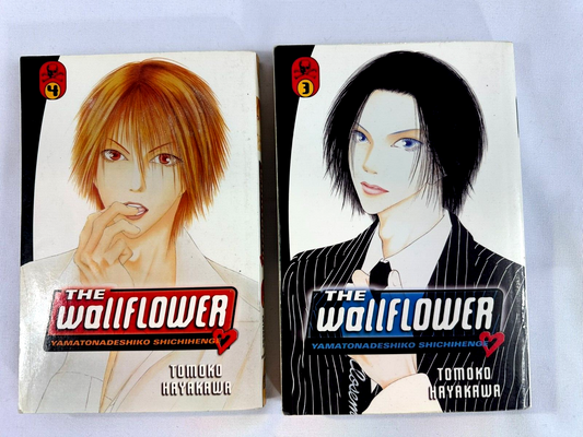 Japanese Anime Graphic and Light Novel Paperback Book LOT (Set of 2)