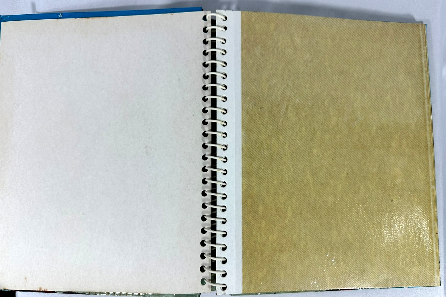 ef299f66-1b52-4b9e-b593-f16324d4799d