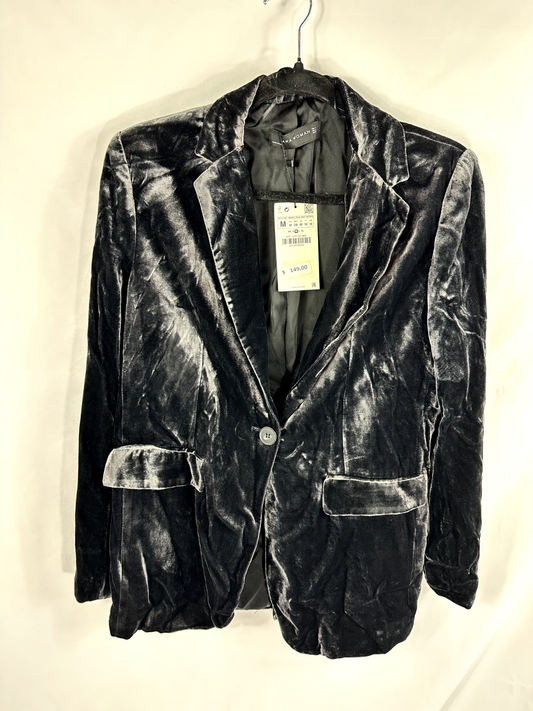 Zara Silk Velvet Blazer and Pants Set- Size M
